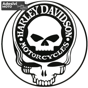 ORIGINALE HARLEY DAVIDSON Distintivo F250 F350 F450 F500 Emblema Logo - Foto 9