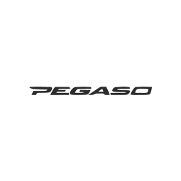 Adesivi Pegaso 650